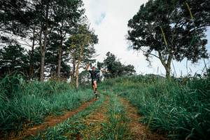 BIB: 
                            <button type="button" onclick="openModal(26023941)" class="btn btn-primary btn-sm float-right btn-popup" data-toggle="modal" data-target=".modal-high-quality">
                        <i class="fas fa-shopping-cart"></i> Add to Cart
                    </button>
                                            <button type="button" onclick="isThisMe(26023941, true)" class="btn btn-success btn-sm float-right btn-popup btn-isme hidden" data-toggle="tooltip" data-placement="bottom" title="นี่คือรูปของคุณใช่ไหม คลิกที่นี่เพื่อเอาเข้าอัลบั้ม">
                        <i class="fas fa-plus"></i> Add to album
                    </button>
                    <button type="button" onclick="isThisMe(26023941, false)" class="btn btn-warning btn-sm float-right btn-popup btn-isnotme hidden">
                        <i class="fas fa-ban"></i> Remove from album
                    </button>